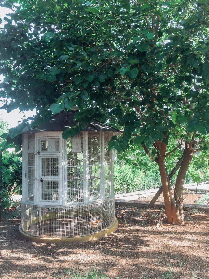 Agrilia Maison Razata Экстерьер фото